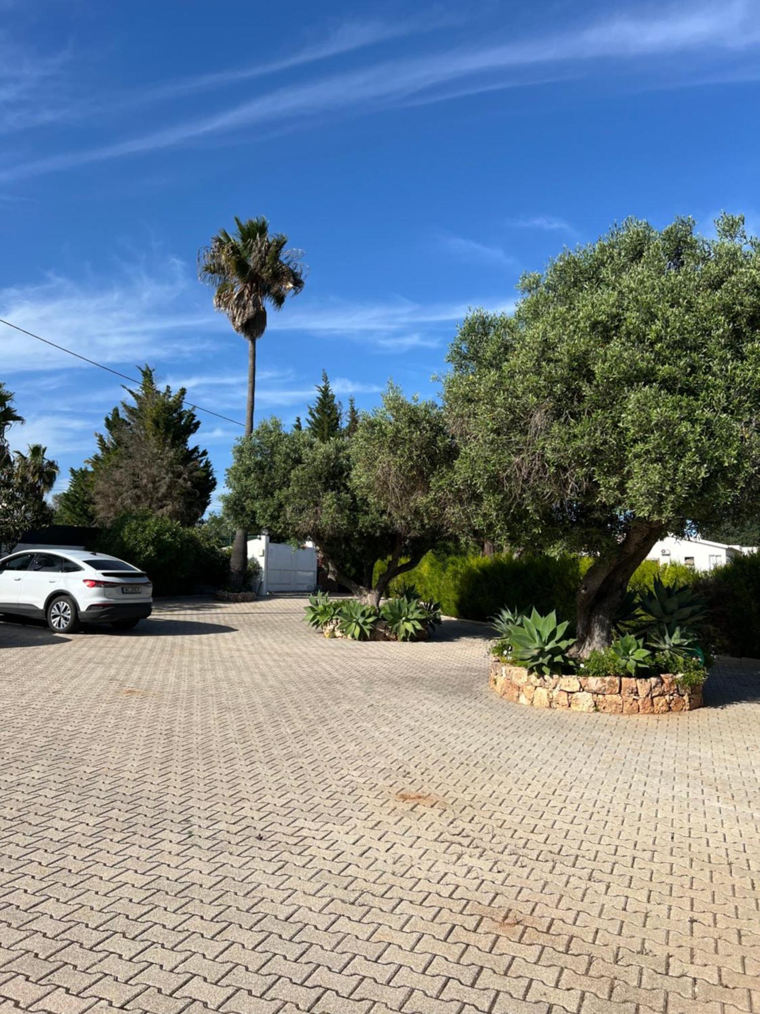 Solar Dos Avós Villa Guia  Dış mekan fotoğraf
